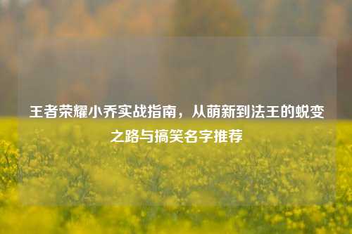 王者荣耀小乔实战指南，从萌新到法王的蜕变之路与搞笑名字推荐