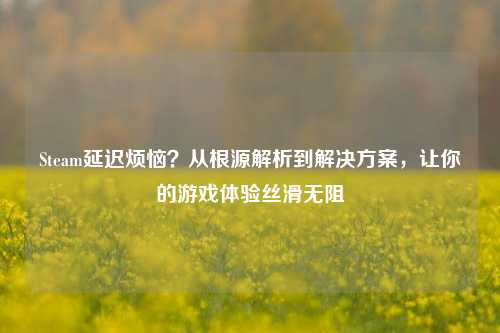 Steam延迟烦恼?从根源解析到解决方案,让你的游戏体验丝滑无阻