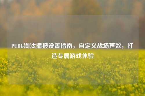 PUBG淘汰播报设置指南，自定义战场声效，打造专属游戏体验
