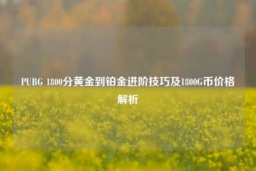 PUBG 1800分黄金到铂金进阶技巧及1800G币价格解析