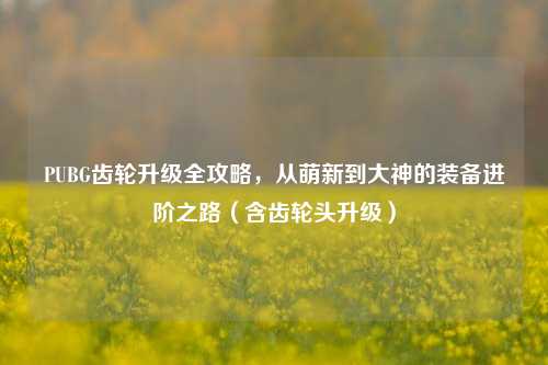 PUBG齿轮升级全攻略，从萌新到大神的装备进阶之路（含齿轮头升级）
