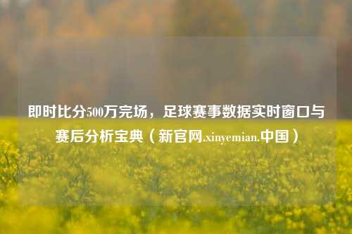 即时比分500万完场,足球赛事数据实时窗口与赛后分析宝典(新官网.xinyemian.中国)
