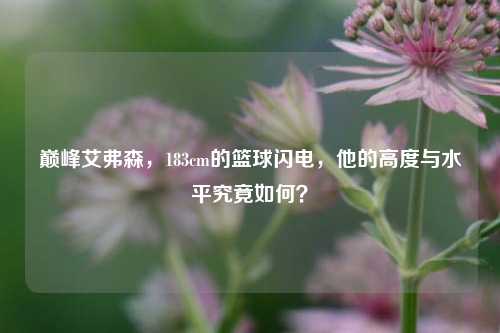 巅峰艾弗森,183cm的篮球闪电,他的高度与水平究竟如何?