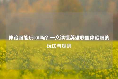 体验服能玩LOL吗？一文读懂英雄联盟体验服的玩法与规则