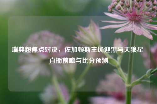 瑞典超焦点对决,佐加顿斯主场迎黑马天狼星 直播前瞻与比分预测