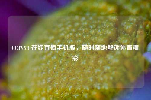 CCTV5+在线直播手机版,随时随地解锁体育精彩