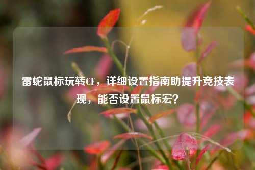 雷蛇鼠标玩转CF，详细设置指南助提升竞技表现，能否设置鼠标宏？