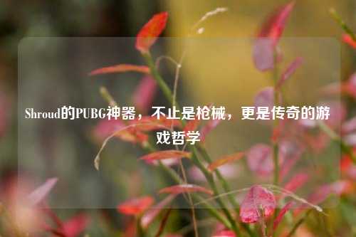 Shroud的PUBG神器，不止是枪械，更是传奇的游戏哲学