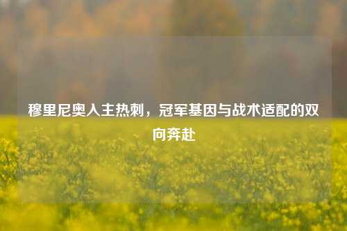 穆里尼奥入主热刺，冠军基因与战术适配的双向奔赴
