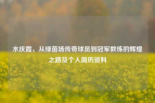 水庆霞,从绿茵场传奇球员到冠军教练的辉煌之路及个人简历资料