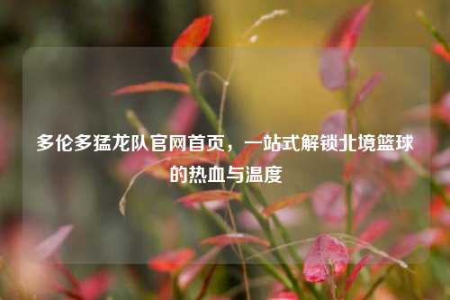 多伦多猛龙队官网首页，一站式解锁北境篮球的热血与温度