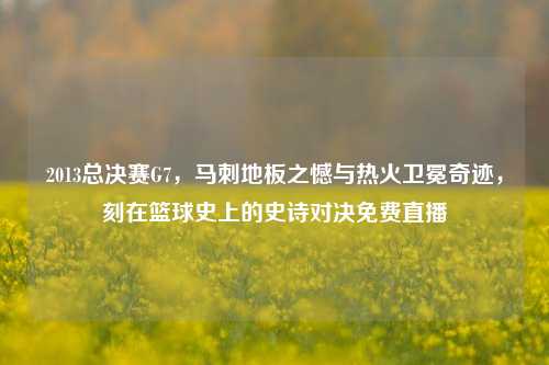 2013总决赛G7,马刺地板之憾与热火卫冕奇迹,刻在篮球史上的史诗对决免费直播