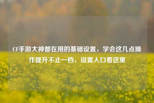 CF手游大神都在用的基础设置,学会这几点操作提升不止一档,设置入口看这里