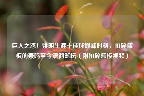 巨人之怒!姚明生涯十佳球巅峰时刻,扣碎篮板的轰鸣至今震彻篮坛(附扣碎篮板视频)
