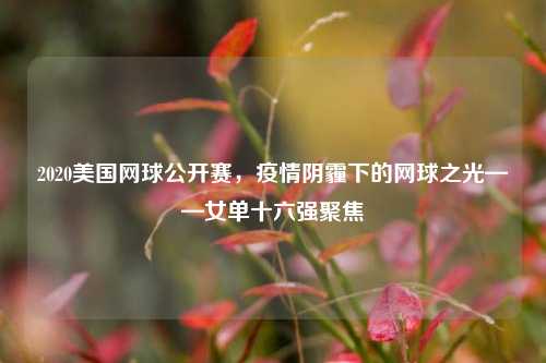 2020美国网球公开赛，疫情阴霾下的网球之光——女单十六强聚焦
