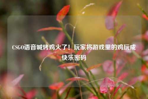 CSGO语音喊烤鸡火了!玩家将游戏里的鸡玩成快乐密码