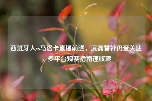 西班牙人vs马洛卡直播前瞻，武磊替补仍受关注，多平台观赛指南速收藏