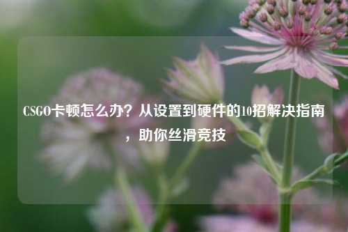 CSGO卡顿怎么办？从设置到硬件的10招解决指南，助你丝滑竞技
