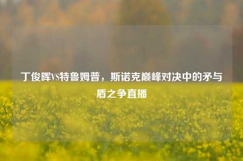 丁俊晖VS特鲁姆普,斯诺克巅峰对决中的矛与盾之争直播