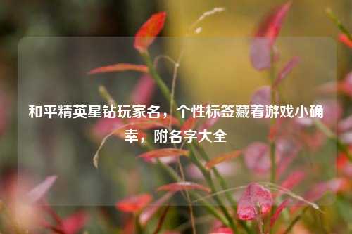 和平精英星钻玩家名,个性标签藏着游戏小确幸,附名字大全