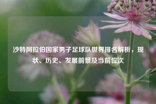沙特阿拉伯国家男子足球队世界排名解析，现状、历史、发展前景及当前位次