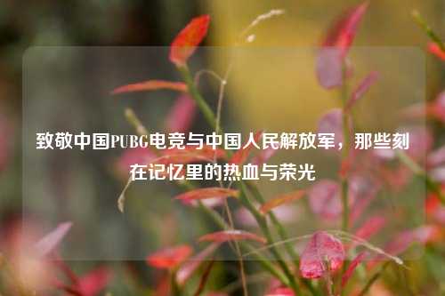 致敬中国PUBG电竞与中国人民解放军，那些刻在记忆里的热血与荣光