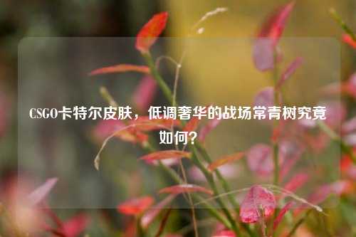 CSGO卡特尔皮肤,低调奢华的战场常青树究竟如何?