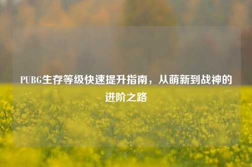 PUBG生存等级快速提升指南,从萌新到战神的进阶之路