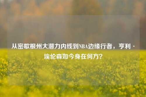 从密歇根州大潜力内线到NBA边缘行者，亨利·埃伦森如今身在何方？