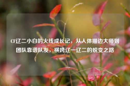 CF辽二小白的火线成长记，从人体描边大师到团队靠谱队友，横跨辽一辽二的蜕变之路
