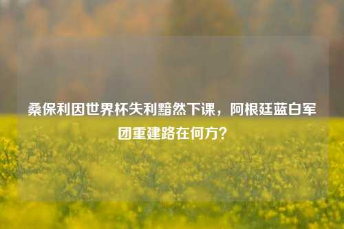 桑保利因世界杯失利黯然下课，阿根廷蓝白军团重建路在何方？