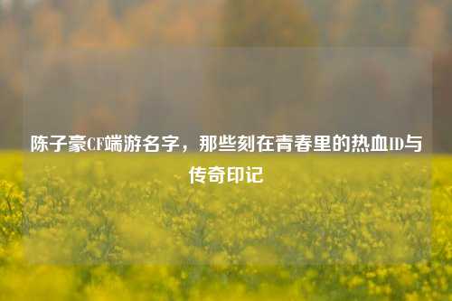 陈子豪CF端游名字，那些刻在青春里的热血ID与传奇印记