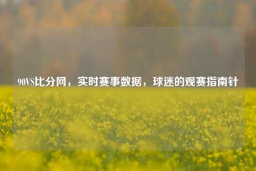 90VS比分网，实时赛事数据，球迷的观赛指南针