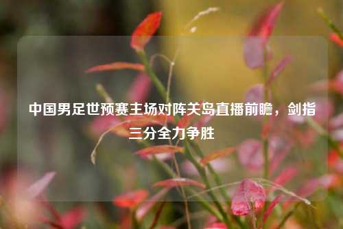 中国男足世预赛主场对阵关岛直播前瞻，剑指三分全力争胜