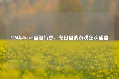 2020年Steam圣诞特惠,冬日里的游戏狂欢盛宴