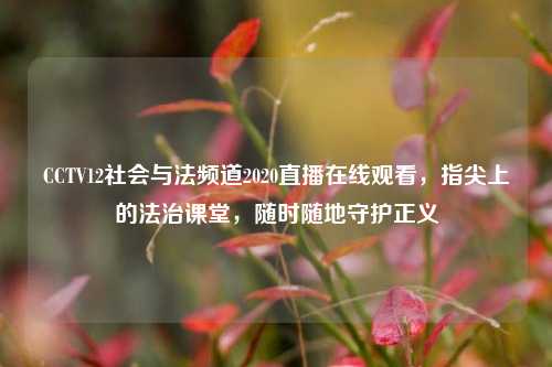 CCTV12社会与法频道2020直播在线观看，指尖上的法治课堂，随时随地守护正义