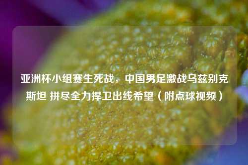 亚洲杯小组赛生死战，中国男足激战乌兹别克斯坦 拼尽全力捍卫出线希望（附点球视频）