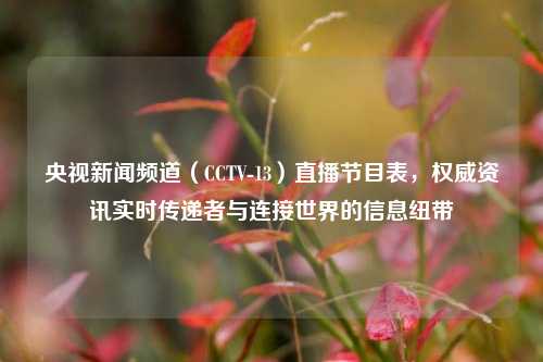 央视新闻频道(CCTV-13)直播节目表,权威资讯实时传递者与连接世界的信息纽带