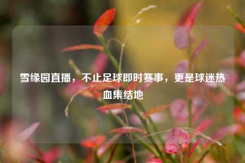 雪缘园直播，不止足球即时赛事，更是球迷热血集结地