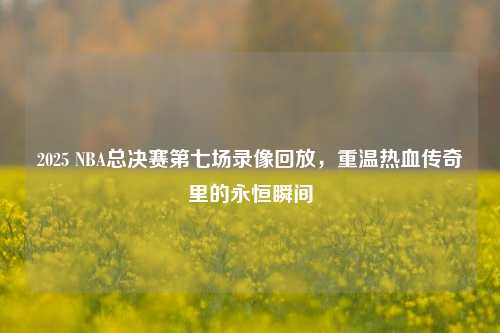 2025 NBA总决赛第七场录像回放,重温热血传奇里的永恒瞬间