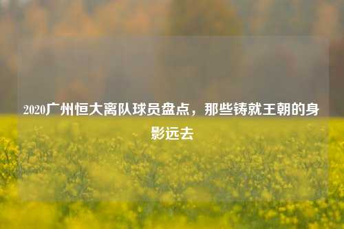 2020广州恒大离队球员盘点,那些铸就王朝的身影远去