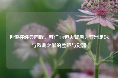 世俱杯经典回眸，拜仁3-0恒大背后，亚洲足球与欧洲之巅的差距与觉醒