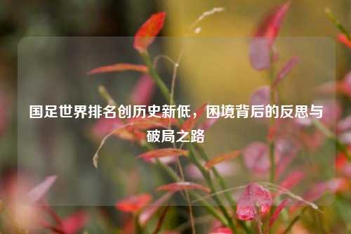 国足世界排名创历史新低，困境背后的反思与破局之路