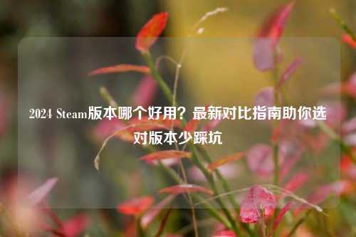 2024 Steam版本哪个好用?最新对比指南助你选对版本少踩坑