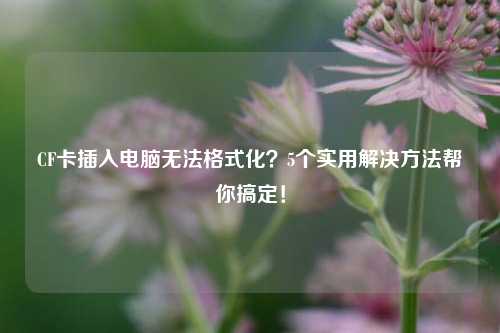 CF卡插入电脑无法格式化？5个实用解决方法帮你搞定！