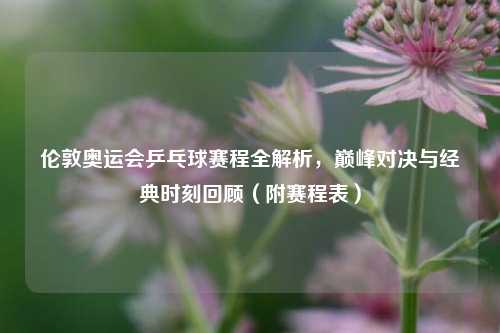 伦敦奥运会乒乓球赛程全解析,巅峰对决与经典时刻回顾(附赛程表)
