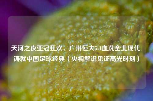 天河之夜亚冠狂欢,广州恒大5-1血洗全北现代 铸就中国足球经典(央视解说见证高光时刻)