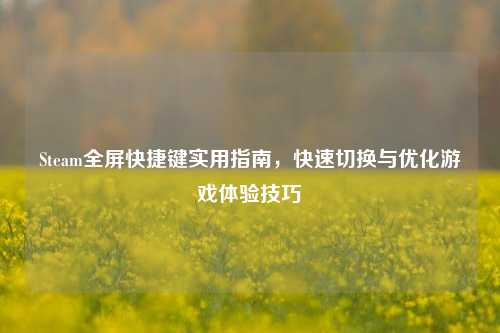 Steam全屏快捷键实用指南,快速切换与优化游戏体验技巧
