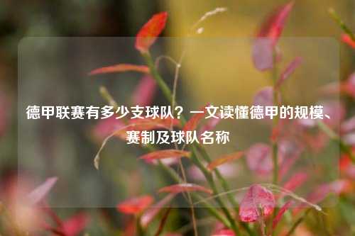 德甲联赛有多少支球队？一文读懂德甲的规模、赛制及球队名称