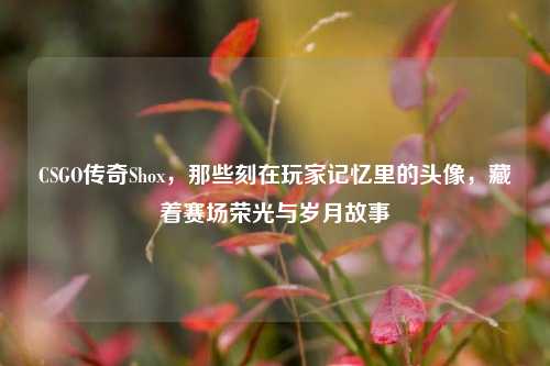 CSGO传奇Shox,那些刻在玩家记忆里的头像,藏着赛场荣光与岁月故事